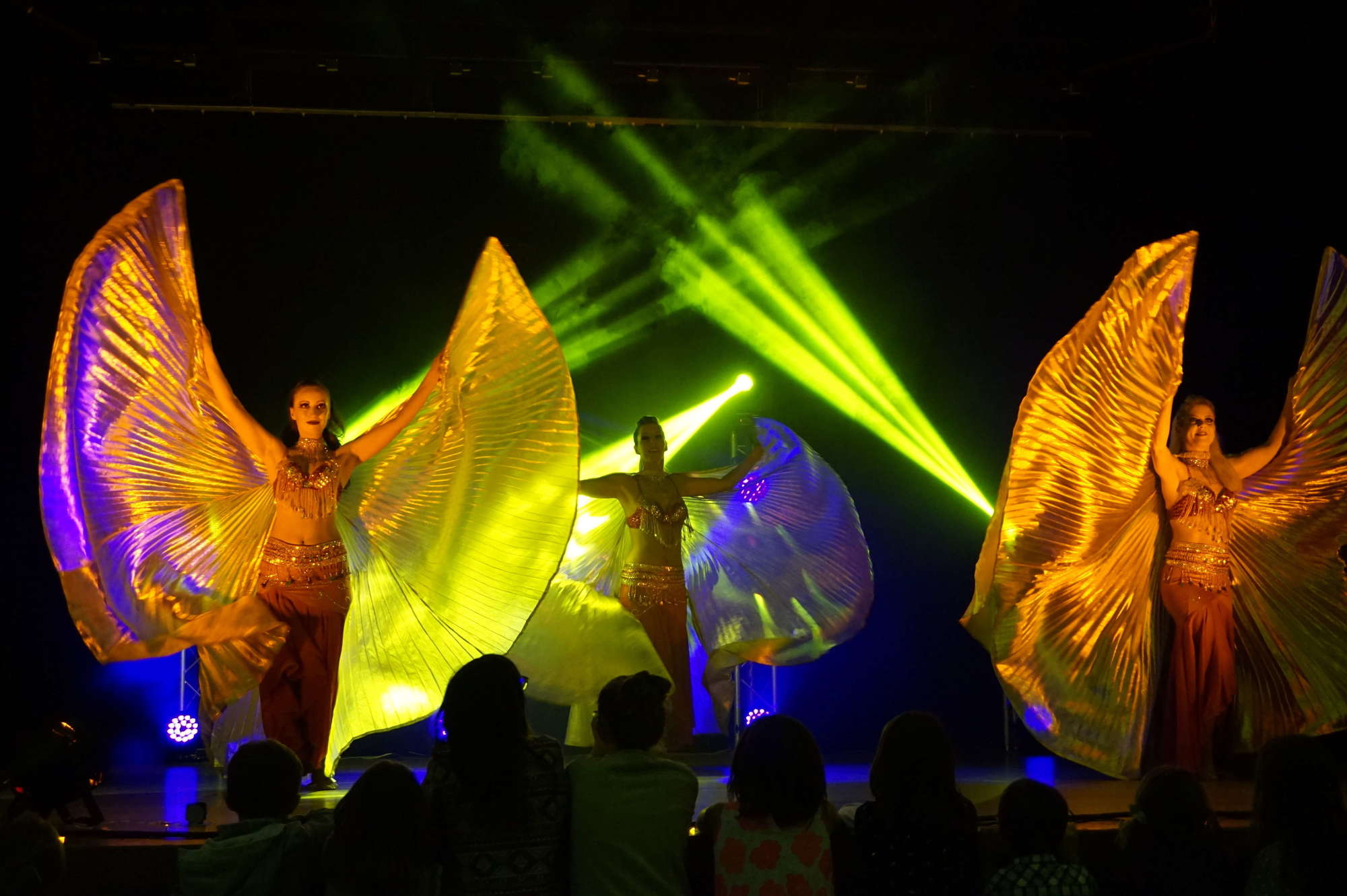 Show cabaret - Danseuses de revue Spectacle de danseuses de cabaret